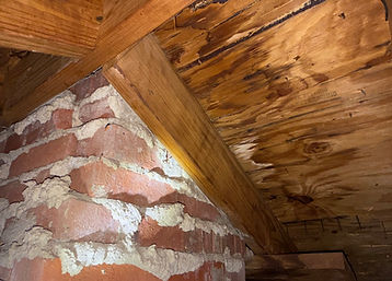 ROOF LEAK.JPG